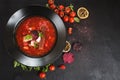 Red ukrainian soup borsch on black background Royalty Free Stock Photo