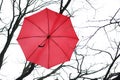 Red Umbrella Royalty Free Stock Photo