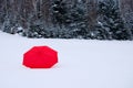 Red Umbrella in a Field of White Virgin Snow