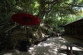 A red umbrella at green forest of Todoroki valley in Setagaya Tokyo Royalty Free Stock Photo