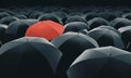 Red umbrella in mass of black umbrellas Royalty Free Stock Photo