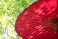 Red Umbrella outdoor and green leaf Royalty Free Stock Photo