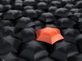 Red umbrella over many black umbrellas Royalty Free Stock Photo