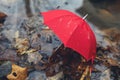 Red umbrella in a poddle with autumn fall leaves. Autumn concept Royalty Free Stock Photo