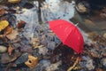 Red umbrella in a poddle with autumn fall leaves. Autumn concept Royalty Free Stock Photo