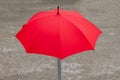 Red Umbrella Rainy Day Royalty Free Stock Photo