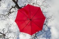 A large Red umbrella hangs from a tree branch with the sky and clouds above Royalty Free Stock Photo