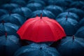 Red umbrella stand out from the crowd of many black umbrellas. Business, leader concept. Royalty Free Stock Photo