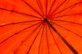 Red umbrella texture Royalty Free Stock Photo