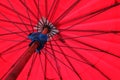 Red umbrella texture Royalty Free Stock Photo