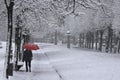 Red umbrella under the snow