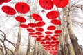 Red umbrellas Royalty Free Stock Photo