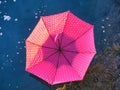 Red upturned umbrella floating on water surface Royalty Free Stock Photo