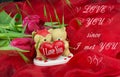 Red valentine day background  with text Royalty Free Stock Photo