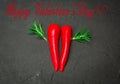 Red valentine day background  with text Royalty Free Stock Photo