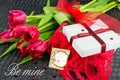 Red valentine day background  with text Royalty Free Stock Photo