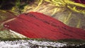 Red Valley near the rainbow mountain in Palccoyo, Cusco, Peru Royalty Free Stock Photo