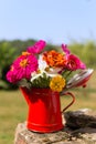 Red vase garden flowers