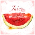 Red vector watercolor watermelon