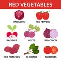 Red vegetables collection, food vector illustration