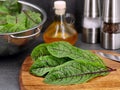 red veined sorrel leaves, Rumex sanguineus on wooden cutting board, preparing a healthy sour fitness salad Royalty Free Stock Photo