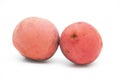 red Velvet apple fruit isolate on white background, also known as Diospyros embryopteris, gaab, gab, Ebenaceae