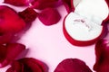 Red velvet box with engagement ring and red rose petals on pink background Royalty Free Stock Photo