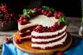 Red velvet cake on wood board. Slice of cake. Raspberry cake. Devil`s cake. Wedding dessert. Birthday party. Delicious dessert. Royalty Free Stock Photo