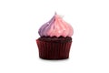 Red velvet chocolate cupcake Royalty Free Stock Photo