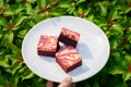 Red velvet cream cheese brownies Royalty Free Stock Photo