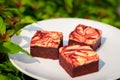 Red velvet cream cheese brownies Royalty Free Stock Photo