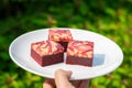 Red velvet cream cheese brownies Royalty Free Stock Photo