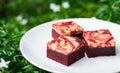 Red velvet cream cheese brownies Royalty Free Stock Photo