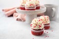 Red velvet cupcake with cream cheese frosting and red hearts sprinkles on the top. Valentine\'s Day concept. Royalty Free Stock Photo