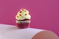 Red Velvet cupcake Royalty Free Stock Photo