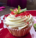 Red velvet cupcake. The finished cakes are on the plate. Decorated with mint leaves Royalty Free Stock Photo