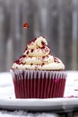 Red Velvet Cupcake in Snow with Heart Sprinkling Down