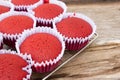 Red velvet cupcake on wood background. Royalty Free Stock Photo