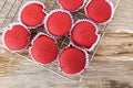 Red velvet cupcake on wood background. Royalty Free Stock Photo