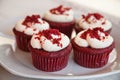 Red velvet cupcakes Royalty Free Stock Photo