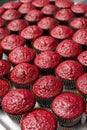 Red velvet cupcakes in a row Royalty Free Stock Photo