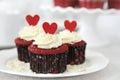 Red velvet cupcakes Royalty Free Stock Photo