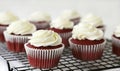 Red velvet cupcakes Royalty Free Stock Photo