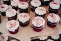 Red velvet cupcakes Royalty Free Stock Photo