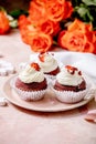 Red velvet cupcakes Royalty Free Stock Photo