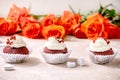 Red velvet cupcakes Royalty Free Stock Photo