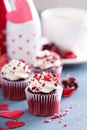 Red velvet cupcakes for Valentines day Royalty Free Stock Photo