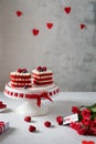 Red velvet heart-shaped cakes on the plate with red roses on the background. St. Valentines Day concept. Sweet present. Bakery,