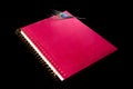 A red velvet notebook against the infinity with a gentle feather sleeping on top. Royalty Free Stock Photo