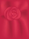 Red Velvet Rose Background